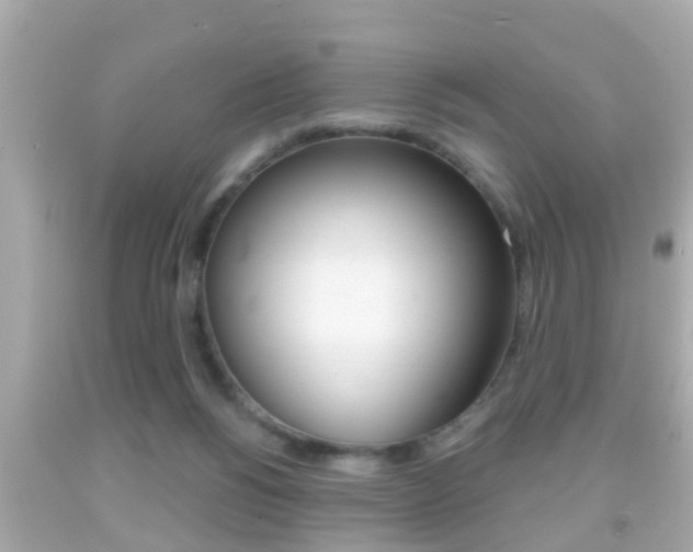 X0000092040168200709121012