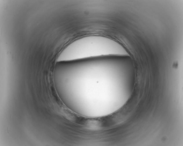 X0000092040169200709121012