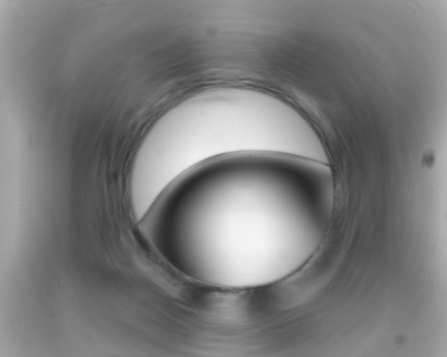 X0000092040170200709121012