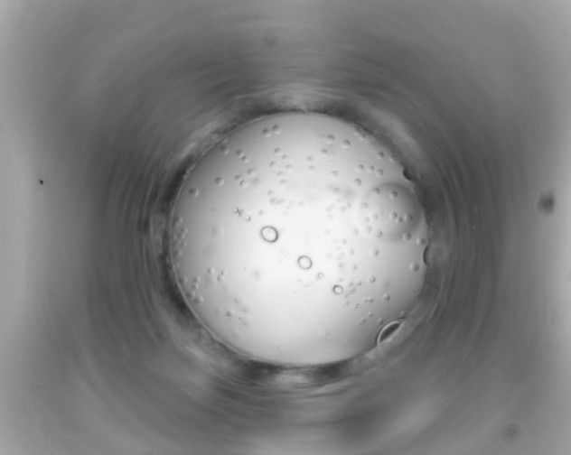 X0000092040171200709121012