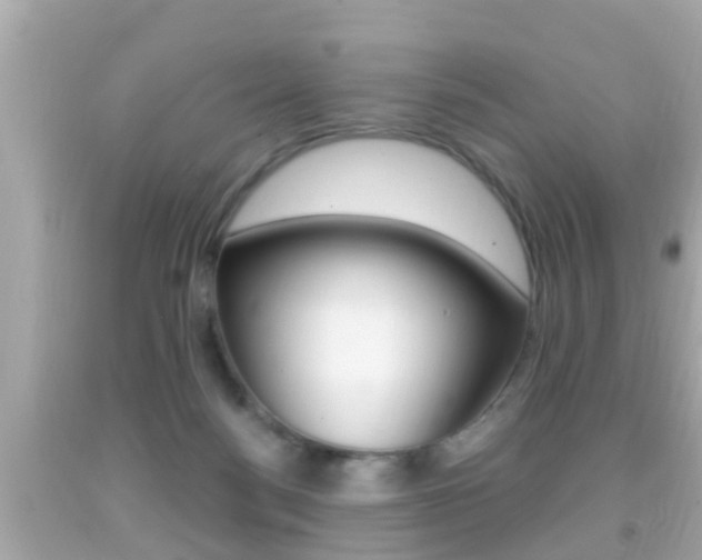 X0000092040172200709121012