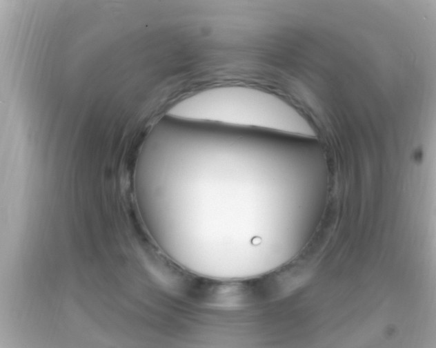 X0000092040173200709121012