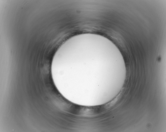 X0000092040174200709121012