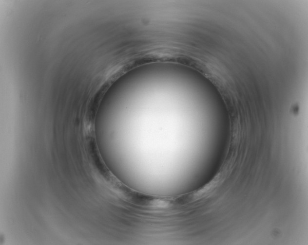 X0000092040176200709121012