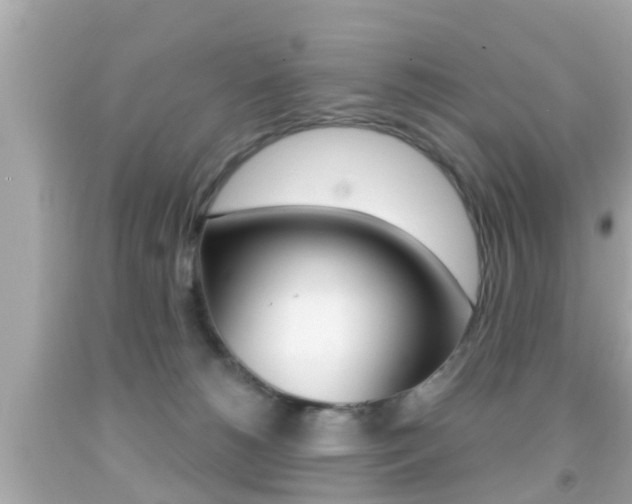X0000092040180200709121012