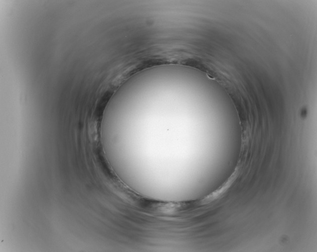 X0000092040182200709121012