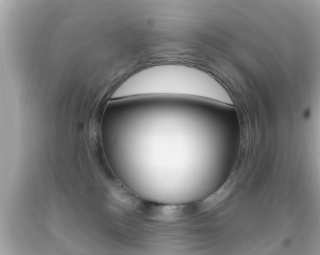 X0000092040184200709121012