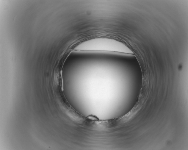 X0000092040188200709121012