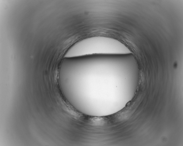 X0000092040189200709121012