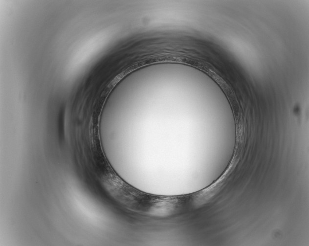 X0000092040191200709121012