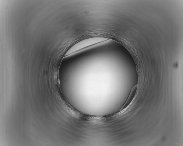X0000092040192200709121012