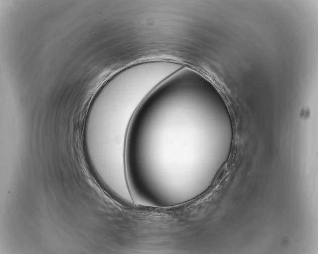 X0000092040193200709121012