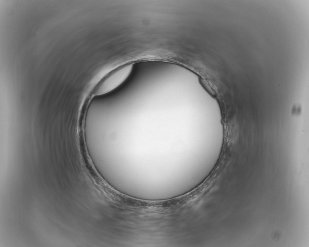 X0000092040196200709121012
