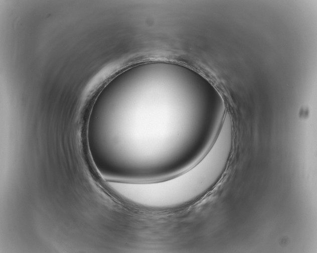 X0000092040197200709121012