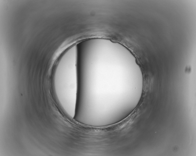 X0000092040198200709121012