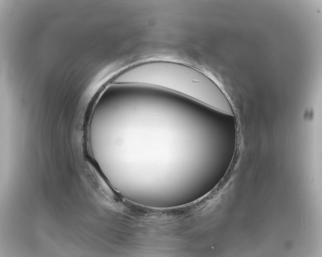 X0000092040199200709121012