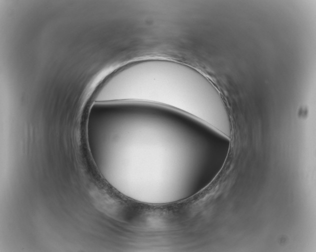 X0000092040200200709121012