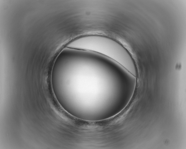 X0000092040201200709121012