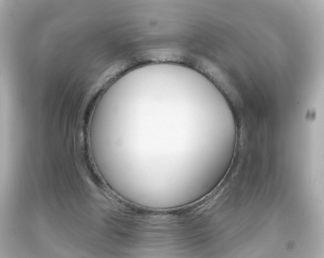 X0000092040202200709121012