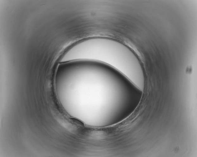 X0000092040203200709121012