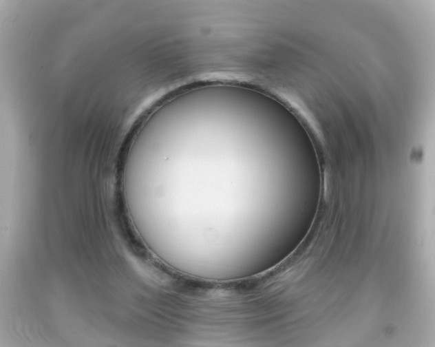X0000092040204200709121012