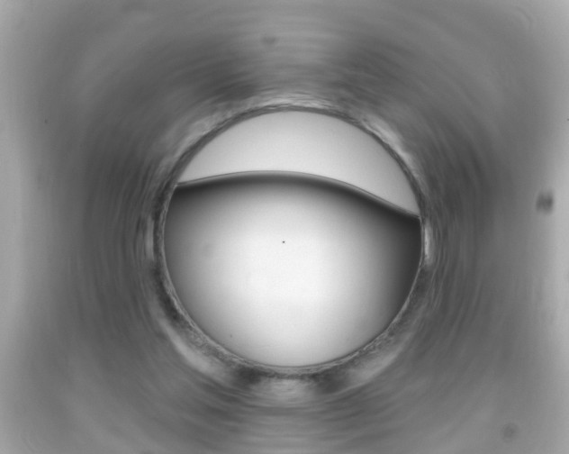 X0000092040205200709121012