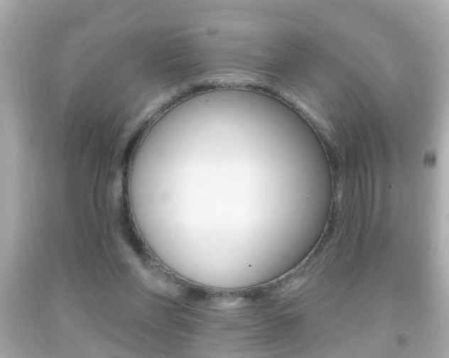 X0000092040206200709121012