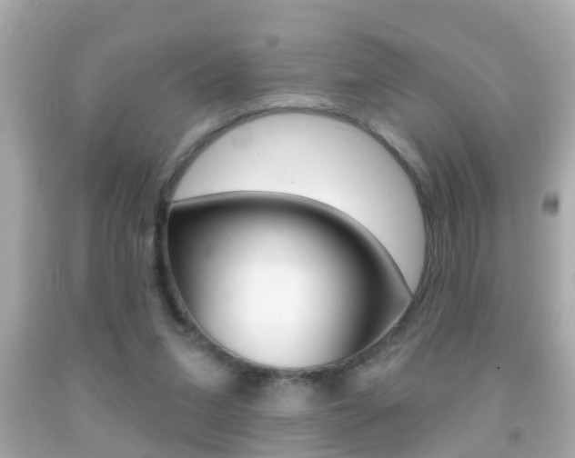 X0000092040207200709121012