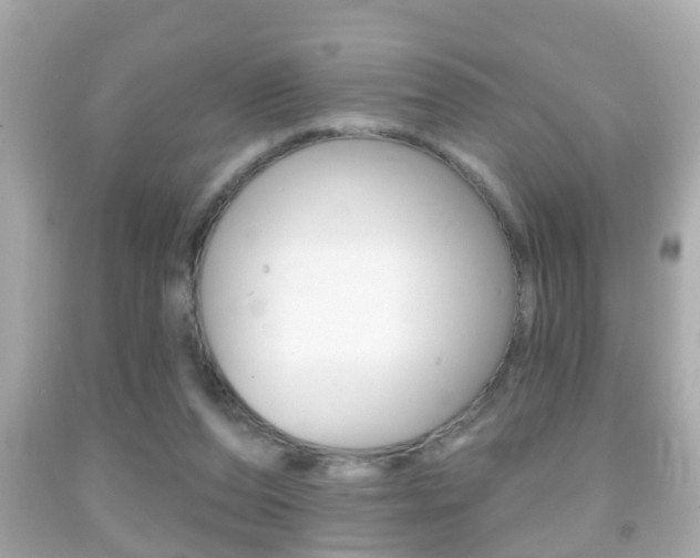 X0000092040208200709121012