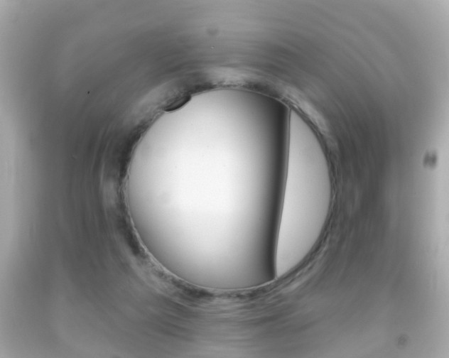 X0000092040209200709121012