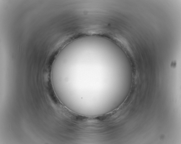 X0000092040210200709121012