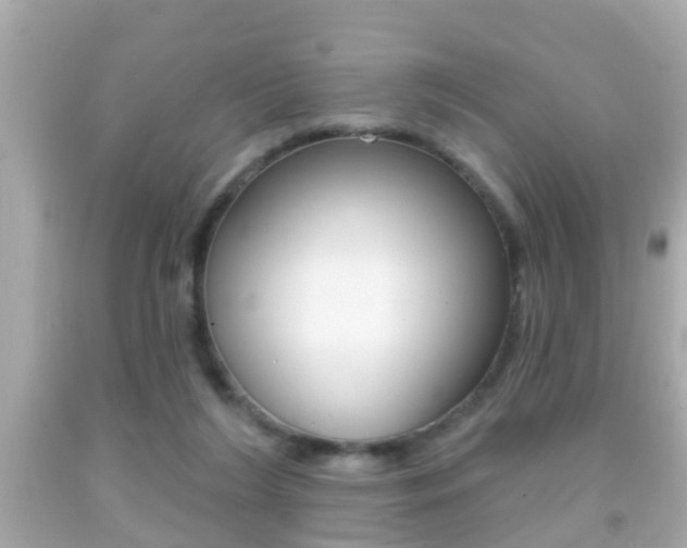 X0000092040212200709121012