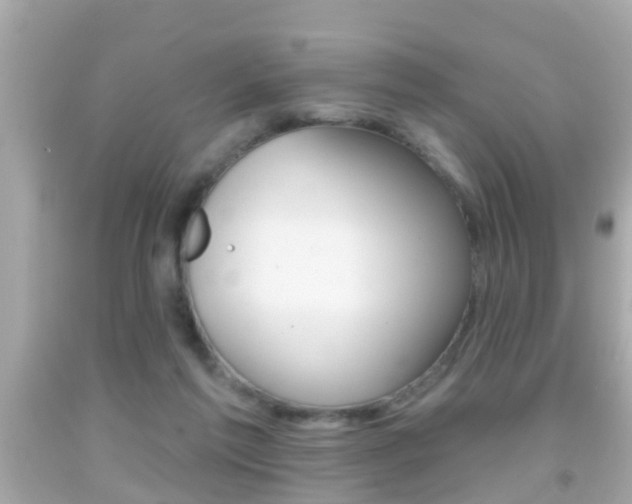 X0000092040213200709121011