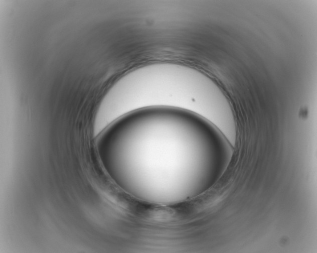 X0000092040215200709121011