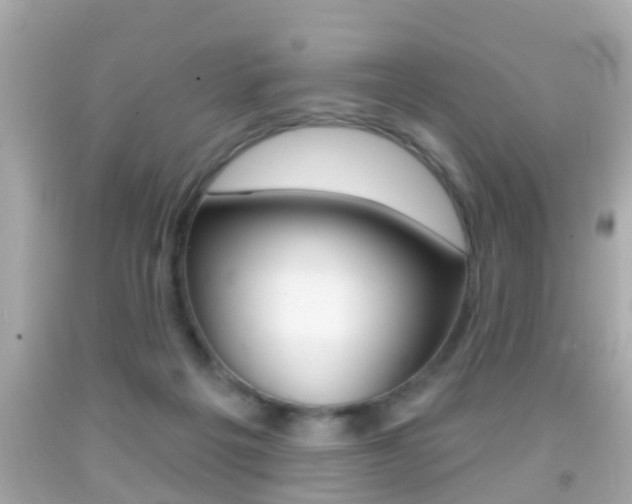 X0000092040217200709121011
