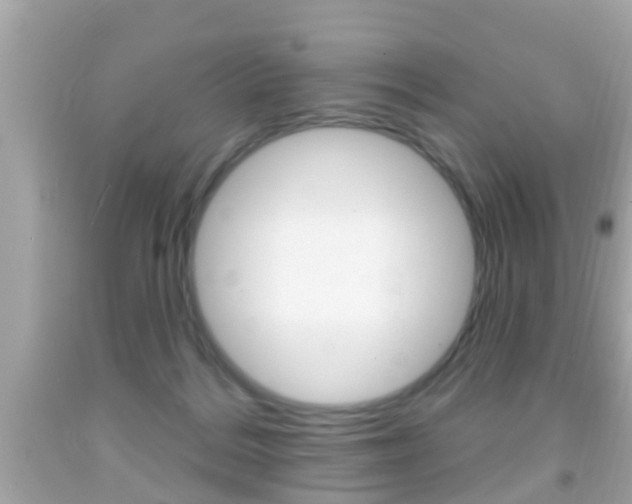 X0000092040220200709121011