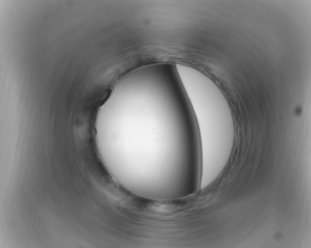 X0000092040221200709121011