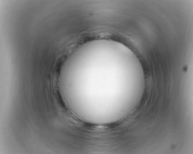 X0000092040222200709121011
