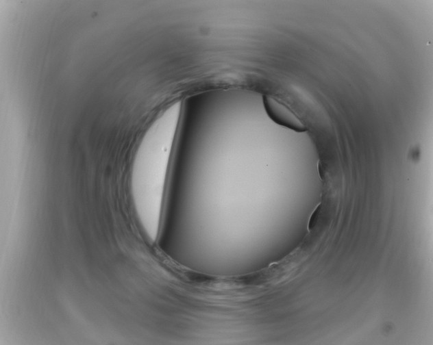 X0000092040223200709121011
