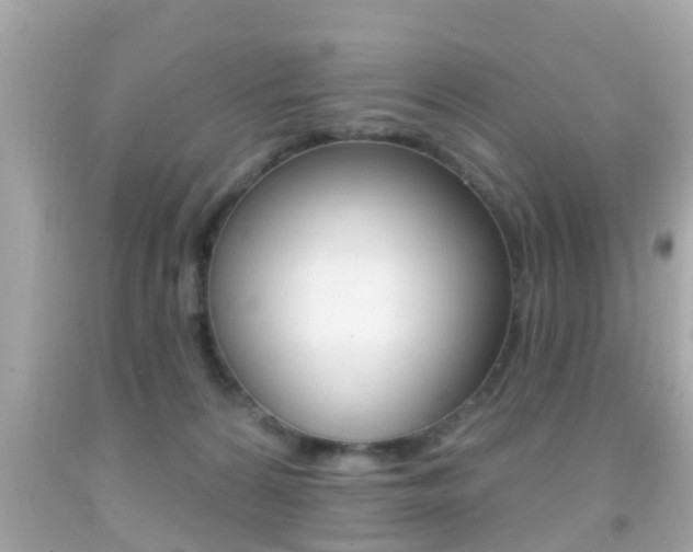X0000092040224200709121011