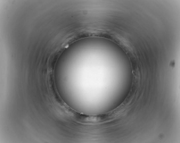 X0000092040225200709121011