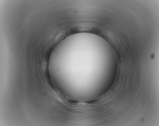 X0000092040227200709121011