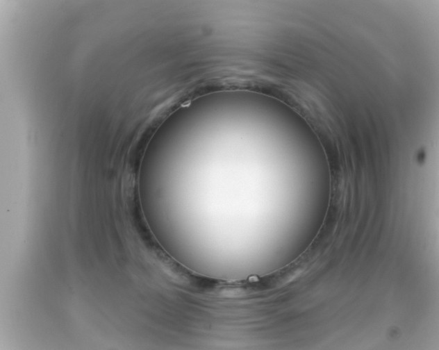 X0000092040228200709121011