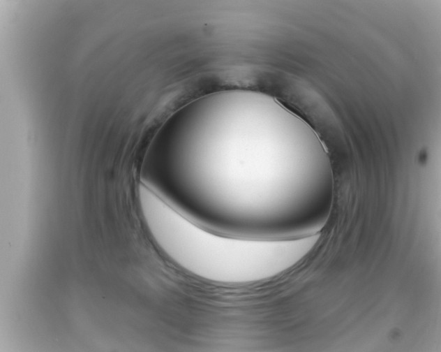 X0000092040229200709121011