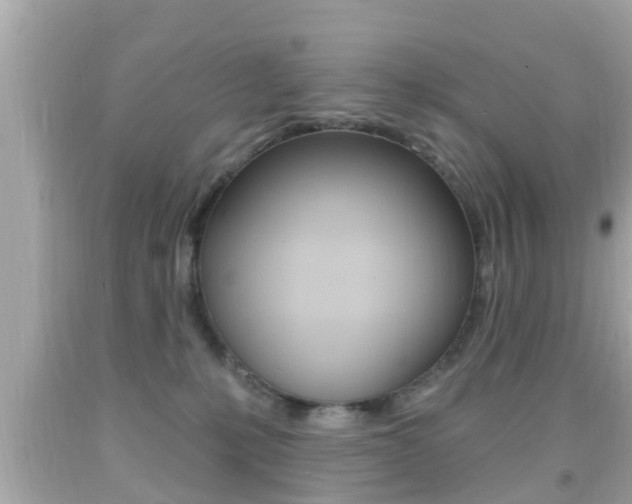 X0000092040231200709121011