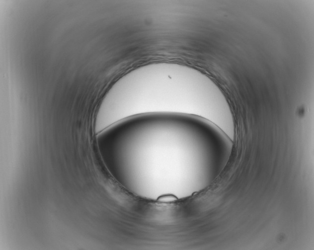 X0000092040233200709121011