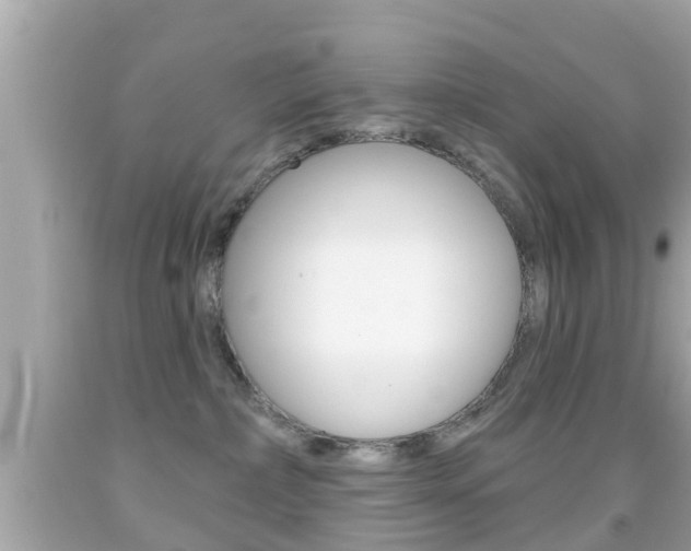 X0000092040236200709121011