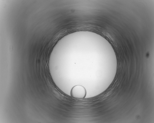 X0000092040237200709121011