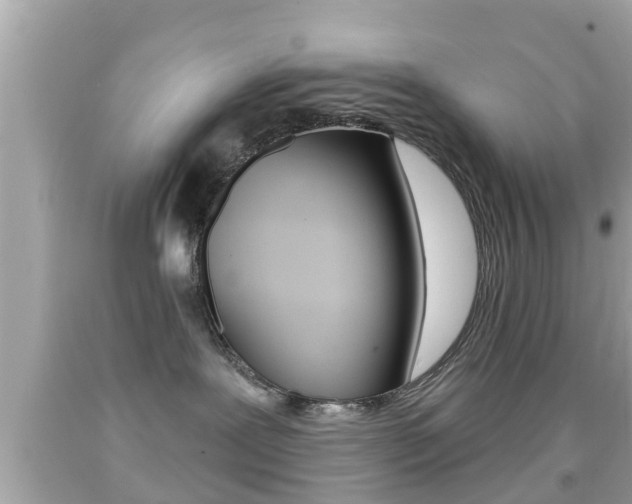 X0000092040239200709121011