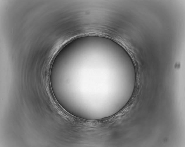 X0000092040241200709121010